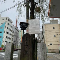 見返り柳 1 Dica