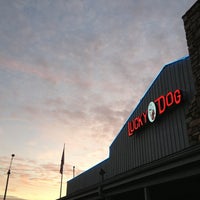 1/26/2013にChristine W.がLucky Dog Bark And Brewで撮った写真