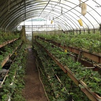 野草花果有機農場 Neihu Qu 內湖區 臺北市 野草花果有機農場 Neihu Qu 內湖區 臺北市