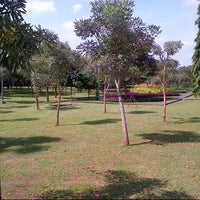 Taman Cattleya Park In Jakarta Barat