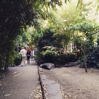 Photo taken at Jardins de la Pagode by Steve D. on 6/19/2015