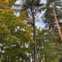 Photo taken at Зеленогорский парк культуры и отдыха by Artntone -. on 9/25/2021