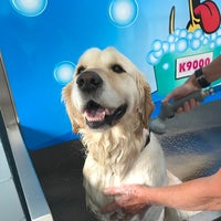 Photo taken at Furever Clean Dog Wash - Self Serve Dog Wash by Furever Clean Dog Wash - Self Serve Dog Wash on 11/22/2017