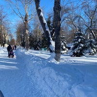 Photo taken at Strukovskiy Garden / Gorky Park by Алла Ш. on 2/13/2022
