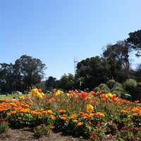 Photo taken at Golden Gate Park by Chinda G. on 4/22/2013