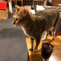 Photo taken at Cat Cafe Calico by HPY48 on 11/7/2019