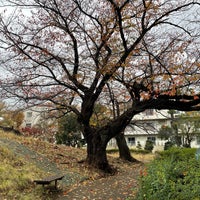 Photo taken at 大森貝塚遺跡庭園 by HPY48 on 11/26/2022