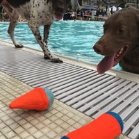 Photo taken at splish splash dog swim by Brian J. on 10/4/2015