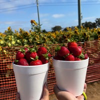 Photo taken at U-Pick Carlsbad Strawberry Co. by Carrie H. on 6/11/2022