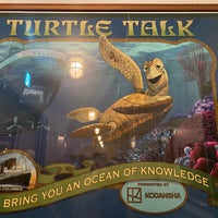 Photo taken at Turtle Talk by H O. on 10/30/2022