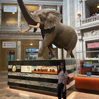 Photo taken at Henry The Elephant by Varshith A. on 8/29/2022