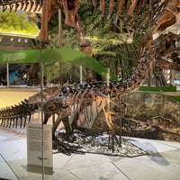 Photo taken at Dinosaurs/Hall of Paleobiology Exhibit by Varshith A. on 7/4/2021
