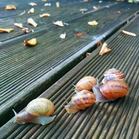 9/19/2014 tarihinde Moma A.ziyaretçi tarafından Hotel Ristorante La Selva'de çekilen fotoğraf