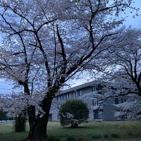 Photo taken at International Christian University by どん on 4/6/2024