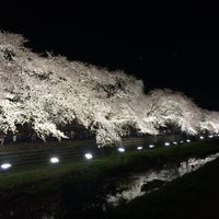 Photo taken at 野川桜ライトアップ by どん on 4/4/2019