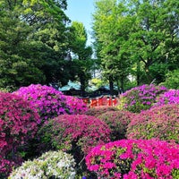 Photo taken at Nezu-jinja Tsutsujien Garden by Kaori on 4/20/2023