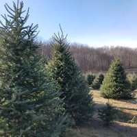 Foto scattata a Maple Lane Farms da Brian S. il 12/10/2016