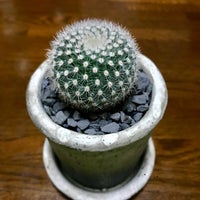Growing Plants Oslo 福島区 北区大淀南3 2 4
