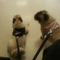 Photo taken at Cypresswood Animal Clinic by Julie B. on 4/1/2013
