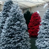 Photo taken at Christmas Trees by Joab S. on 11/22/2015
