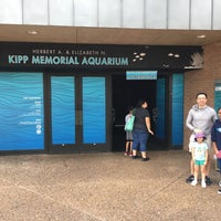 Photo taken at Kipp Memorial Aquarium by Samuel M. on 10/9/2019