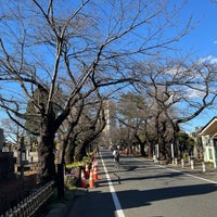 Photo taken at Yanaka Cemetery by nownayoung on 3/27/2024