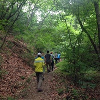 6/25/2015에 Inyoung C.님이 운악산 자연휴양림에서 찍은 사진