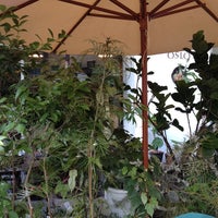 Growing Plants Oslo 福島区 北区大淀南3 2 4