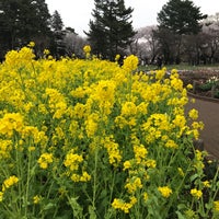 Photo taken at 宿根草園 by じんござえもん た. on 3/31/2022