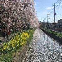 Photo taken at 見沼氷川公園 by じんござえもん た. on 4/6/2022