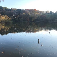 Photo taken at Sanpoji Pond by じんござえもん た. on 12/1/2023