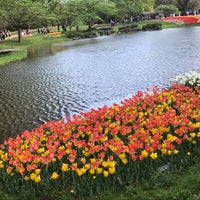 Photo taken at Showa Kinen Park by じんござえもん た. on 4/19/2024