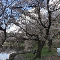 Photo taken at 見沼氷川公園 by じんござえもん た. on 3/30/2023