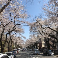 センター 東京 北 医療