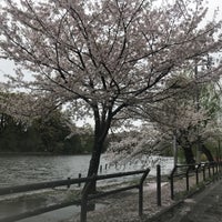 Photo taken at Shakujii Park by じんござえもん た. on 4/9/2024
