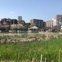 Photo taken at 石神井公園 ボートのりば by じんござえもん た. on 4/14/2024