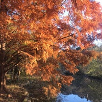 Photo taken at Sanpoji Pond by じんござえもん た. on 12/1/2023