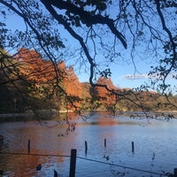 Photo taken at Sanpoji Pond by じんござえもん た. on 12/8/2023