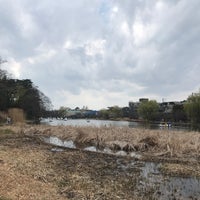 Photo taken at Shakujii Pond by じんござえもん た. on 3/17/2024