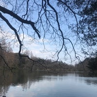 Photo taken at Sanpoji Pond by じんござえもん た. on 3/17/2024