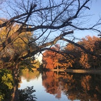 Photo taken at Shakujii Pond by じんござえもん た. on 12/1/2023