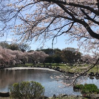 Photo taken at 見沼氷川公園 by じんござえもん た. on 4/6/2022