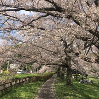 Photo taken at 見沼氷川公園 by じんござえもん た. on 3/30/2023