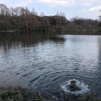 Photo taken at Sanpoji Pond by じんござえもん た. on 3/17/2024