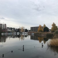 Photo taken at 石神井公園 ボートのりば by じんござえもん た. on 11/22/2022