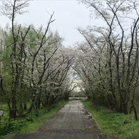 Photo taken at Akigase Park by じんござえもん た. on 4/9/2024