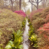 Photo taken at Isabella Plantation by issam shamas k. on 4/10/2024