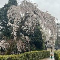 Photo taken at Kyoto Gyoen by Chew Geok C. on 3/28/2024