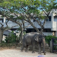 Photo taken at OKINAWA Zoo &amp;amp; Museum by じゅんす on 10/29/2023