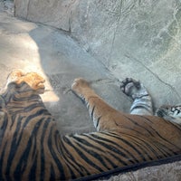 Photo taken at Fort Worth Zoo by Pedro R. on 7/28/2023